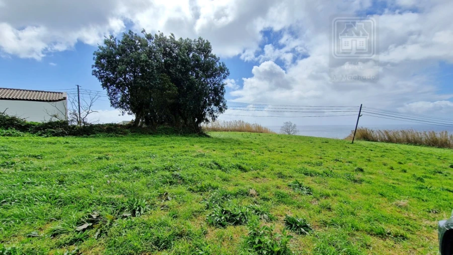Terreno Agricola ou Rústico para Venda em Feteiras Foto 8