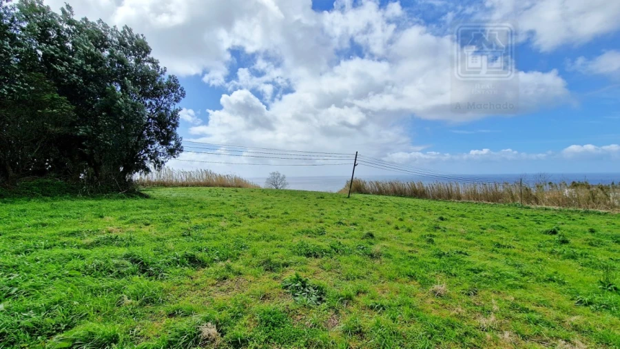 Terreno Agricola ou Rústico para Venda em Feteiras Foto 9