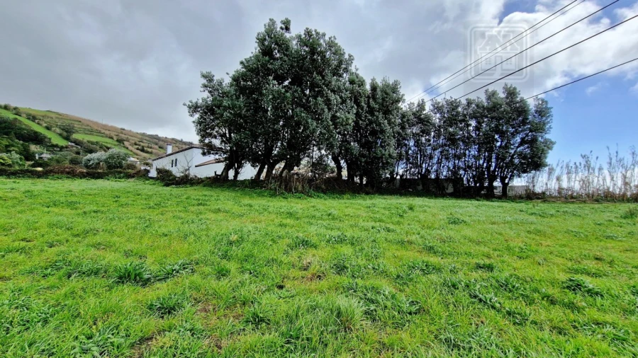 Terreno Agricola ou Rústico para Venda em Feteiras Foto 12