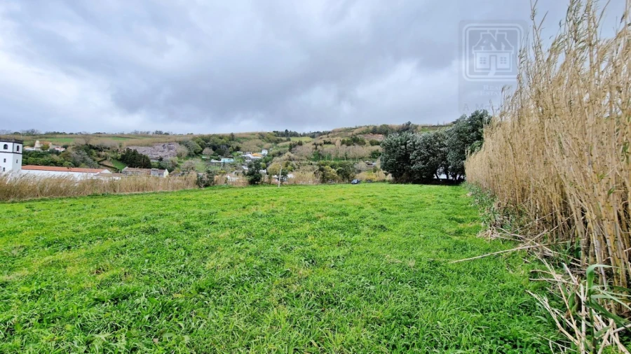 Terreno Agricola ou Rústico para Venda em Feteiras Foto 14