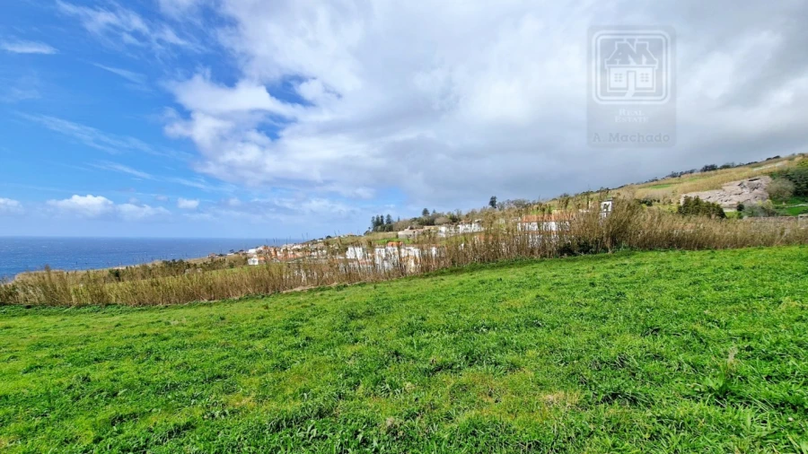 Terreno Agricola ou Rústico para Venda em Feteiras Foto 15