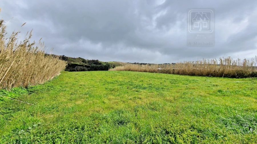 Terreno Agricola ou Rústico para Venda em Feteiras Foto 17