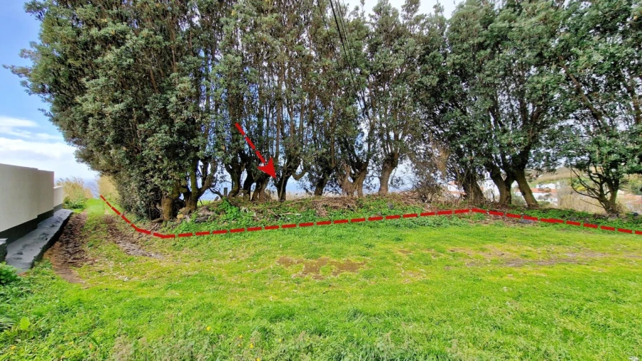 Terreno Agricola ou Rústico para Venda em Feteiras Foto 24