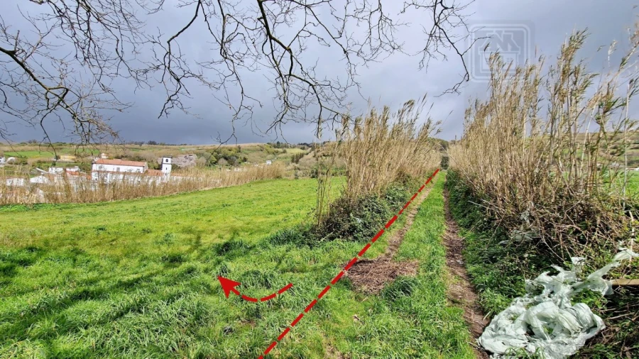 Terreno Agricola ou Rústico para Venda em Feteiras Foto 29