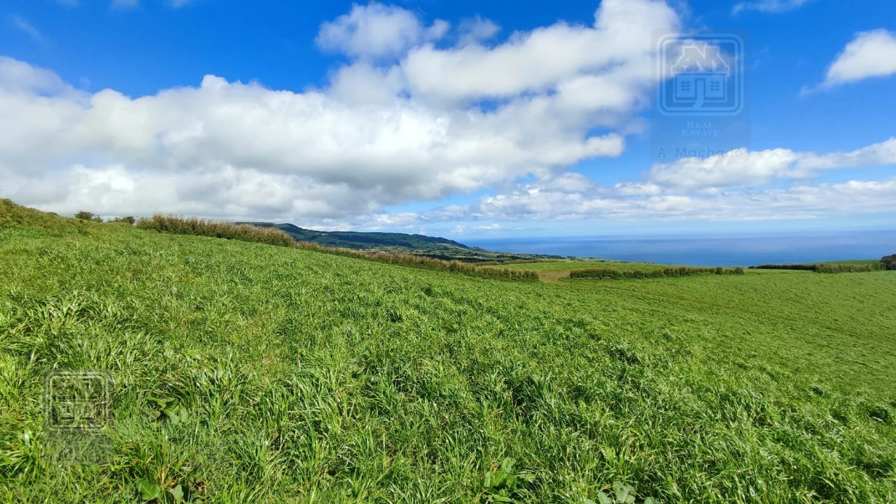 Terreno Agricola ou Rústico para Venda em Ribeira Seca Foto 13