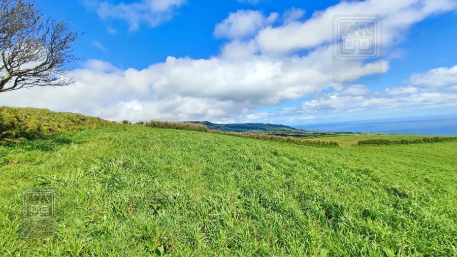 Terreno Agricola ou Rústico para Venda em Ribeira Seca Foto 11