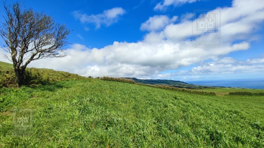 Terreno Agricola ou Rústico para Venda em Ribeira Seca Foto 12