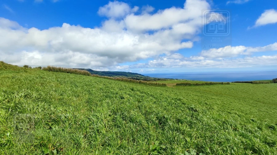 Terreno Agricola ou Rústico para Venda em Ribeira Seca Foto 13