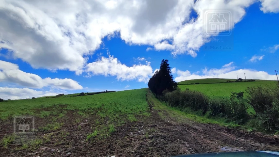 Terreno Agricola ou Rústico para Venda em Ribeira Seca Foto 15