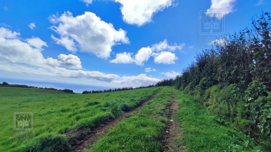 Terreno Agricola ou Rústico para Venda em Ribeira Seca Foto 17