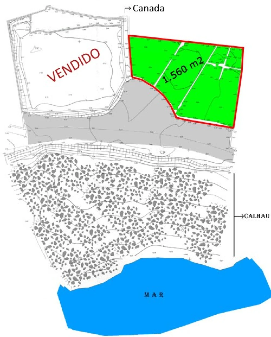 Terreno Agricola ou Rústico para Venda em Lagoa (Nossa Senhora do Rosario) Planta 1