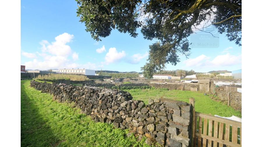 Terreno Agricola ou Rústico para Venda em Lagoa (Nossa Senhora do Rosario) Foto 6