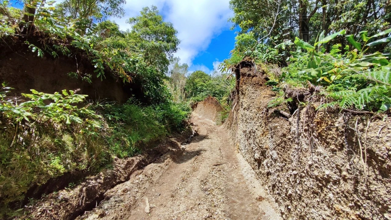 Terreno Agricola ou Rústico para Venda em Ribeira Seca Foto 13