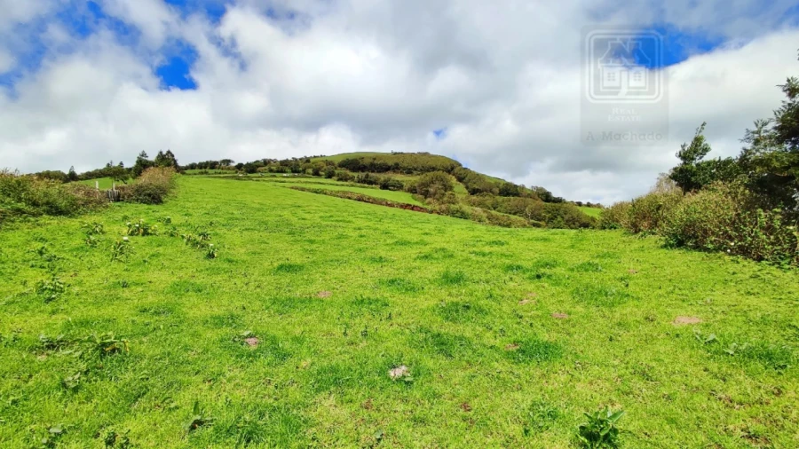 Terreno Agricola ou Rústico para Venda em Ribeira Seca Foto 12