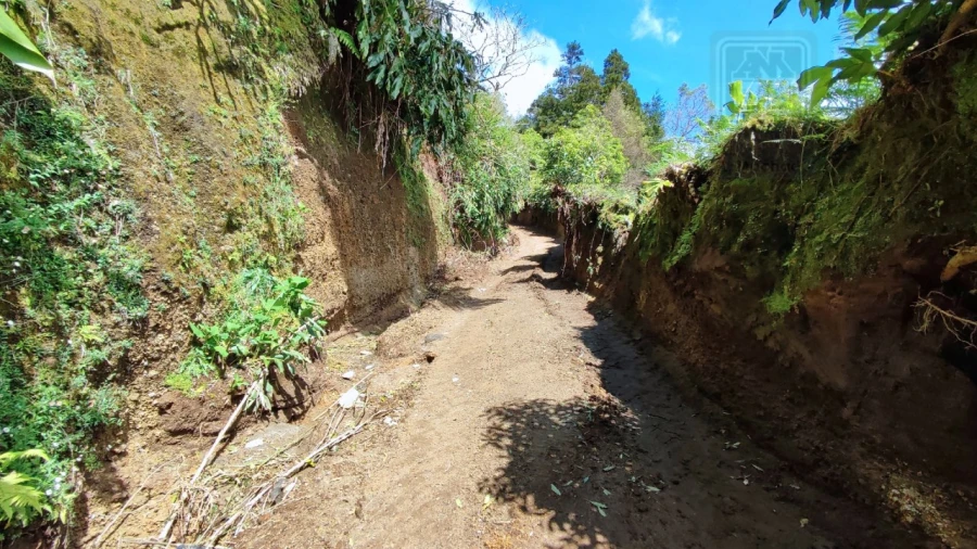 Terreno Agricola ou Rústico para Venda em Ribeira Seca Foto 14