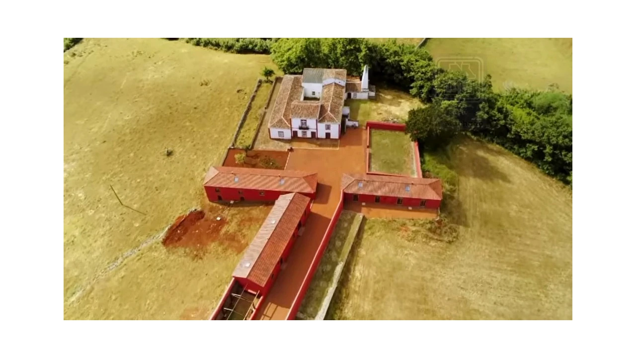 Quinta T20 para Venda em Almagreira Foto 2