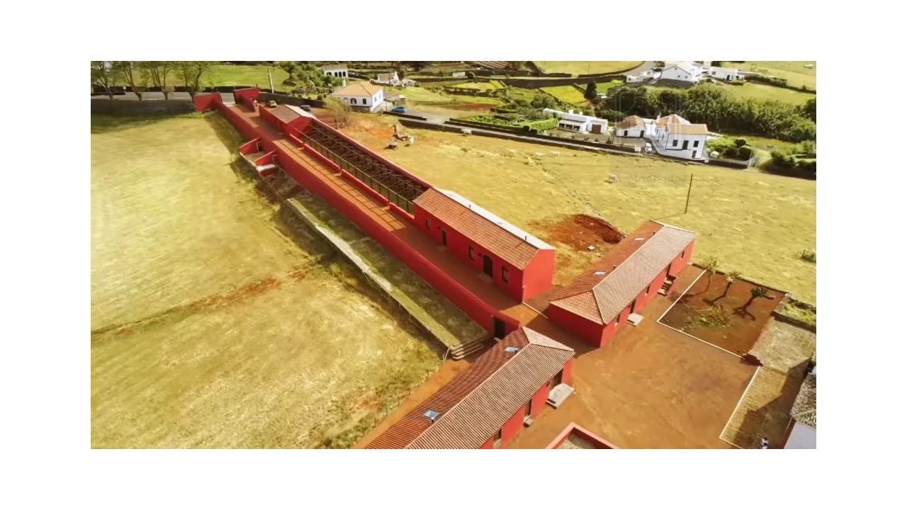 Quinta T20 para Venda em Almagreira Foto 3