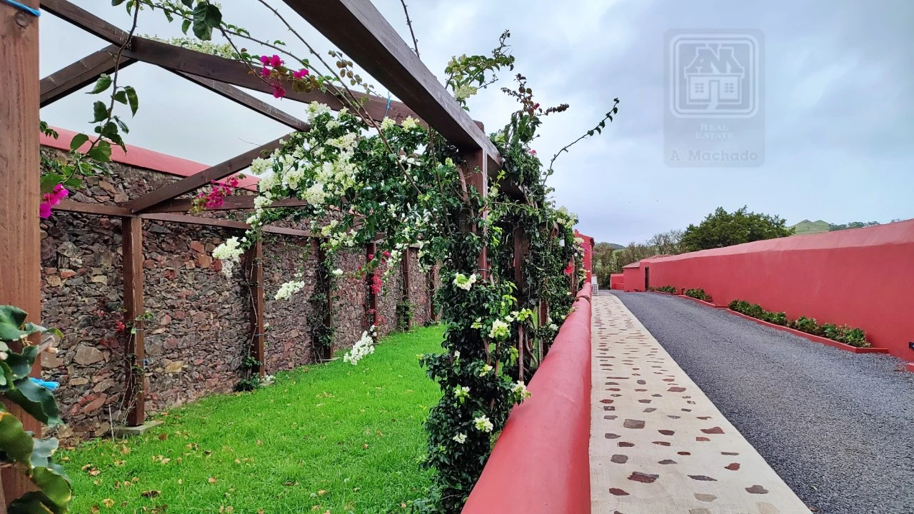 Quinta T20 para Venda em Almagreira Foto 19