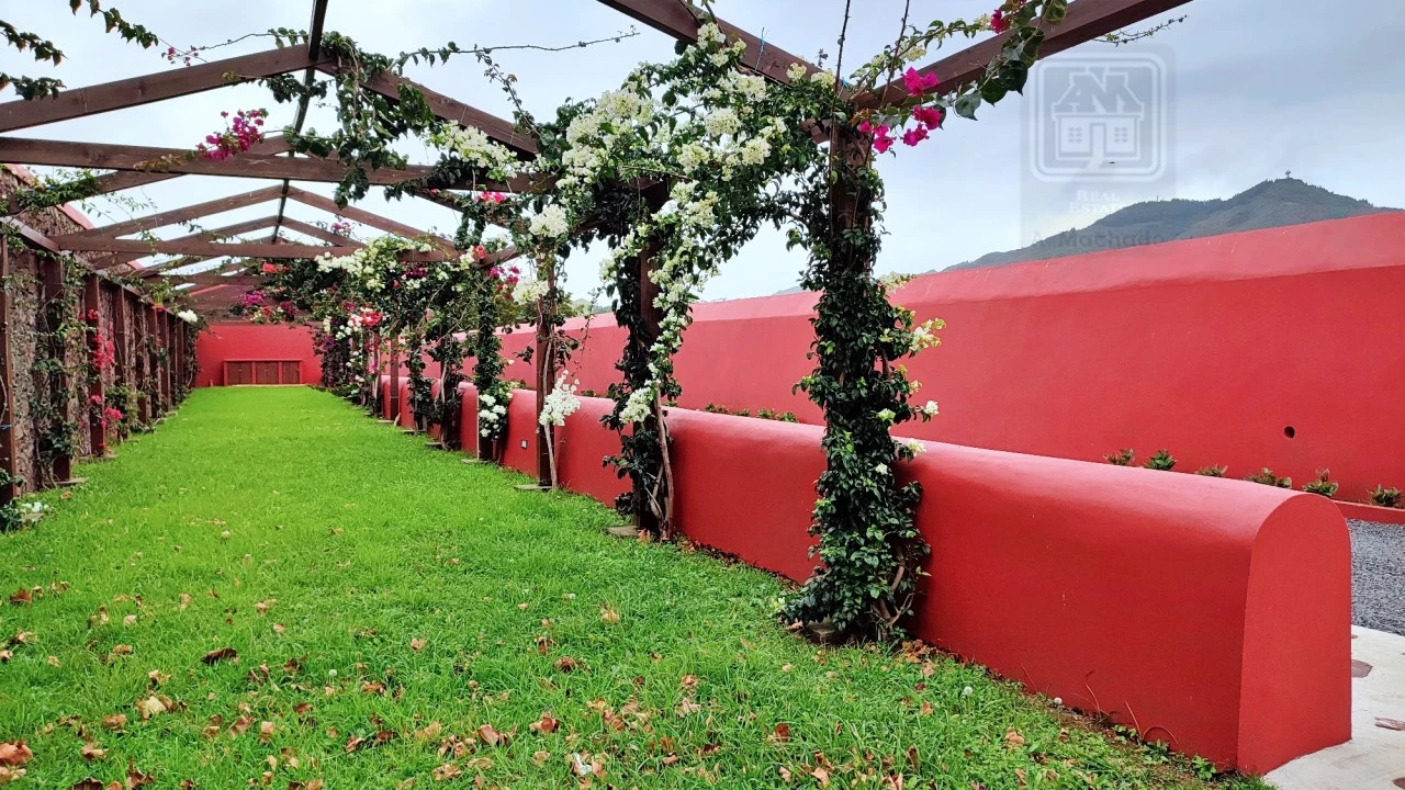 Quinta T20 para Venda em Almagreira Foto 20