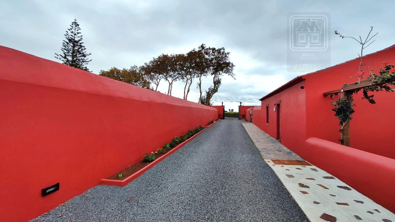 Quinta T20 para Venda em Almagreira Foto 12