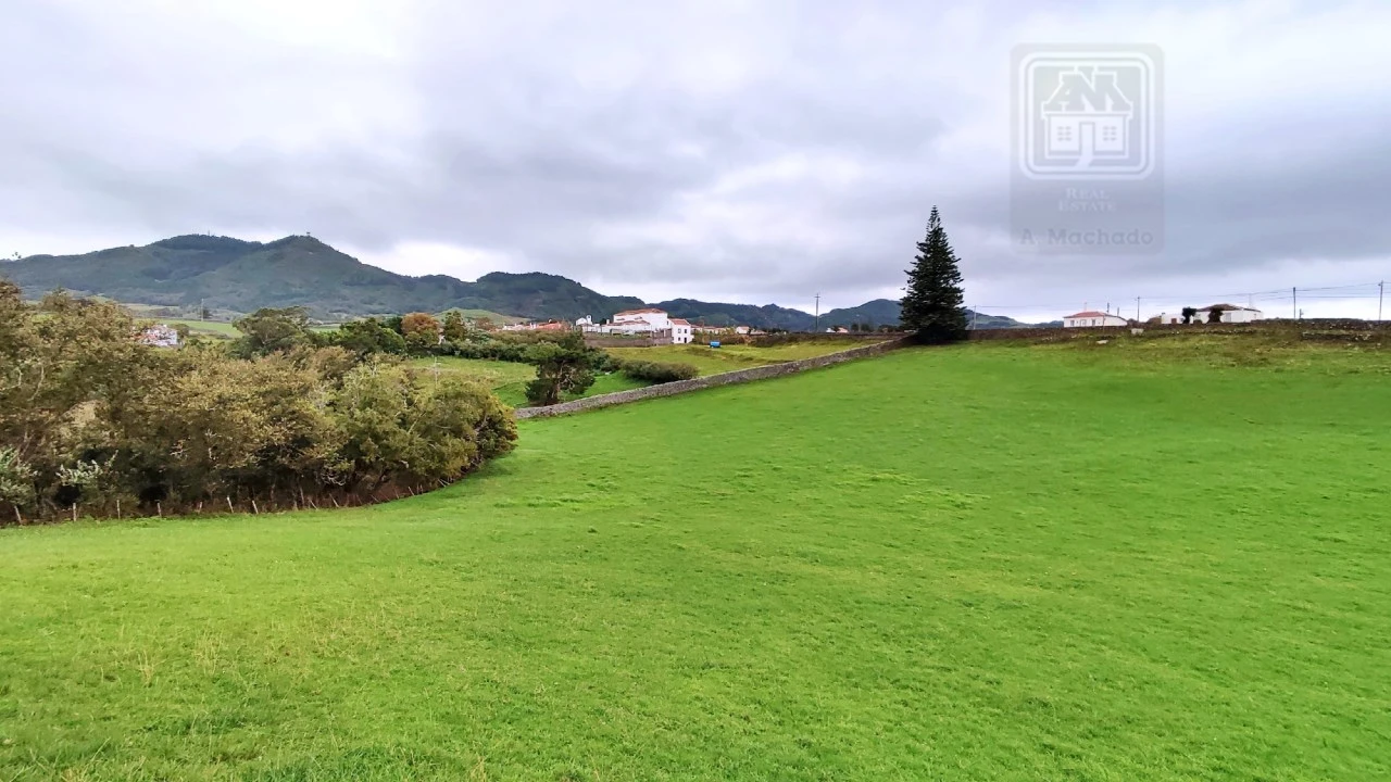 Quinta T20 para Venda em Almagreira Foto 50