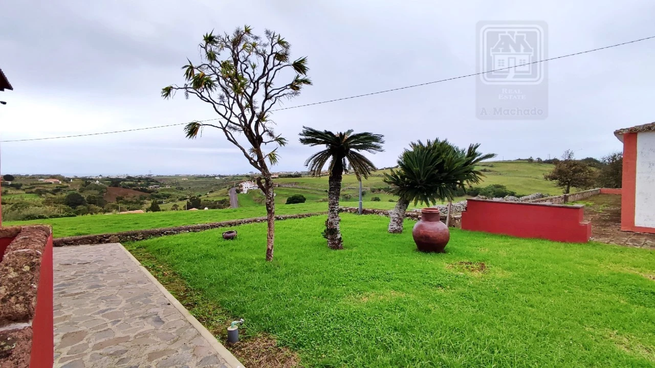 Quinta T20 para Venda em Almagreira Foto 69