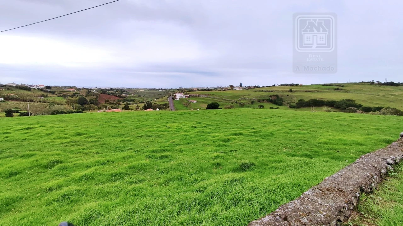 Quinta T20 para Venda em Almagreira Foto 72