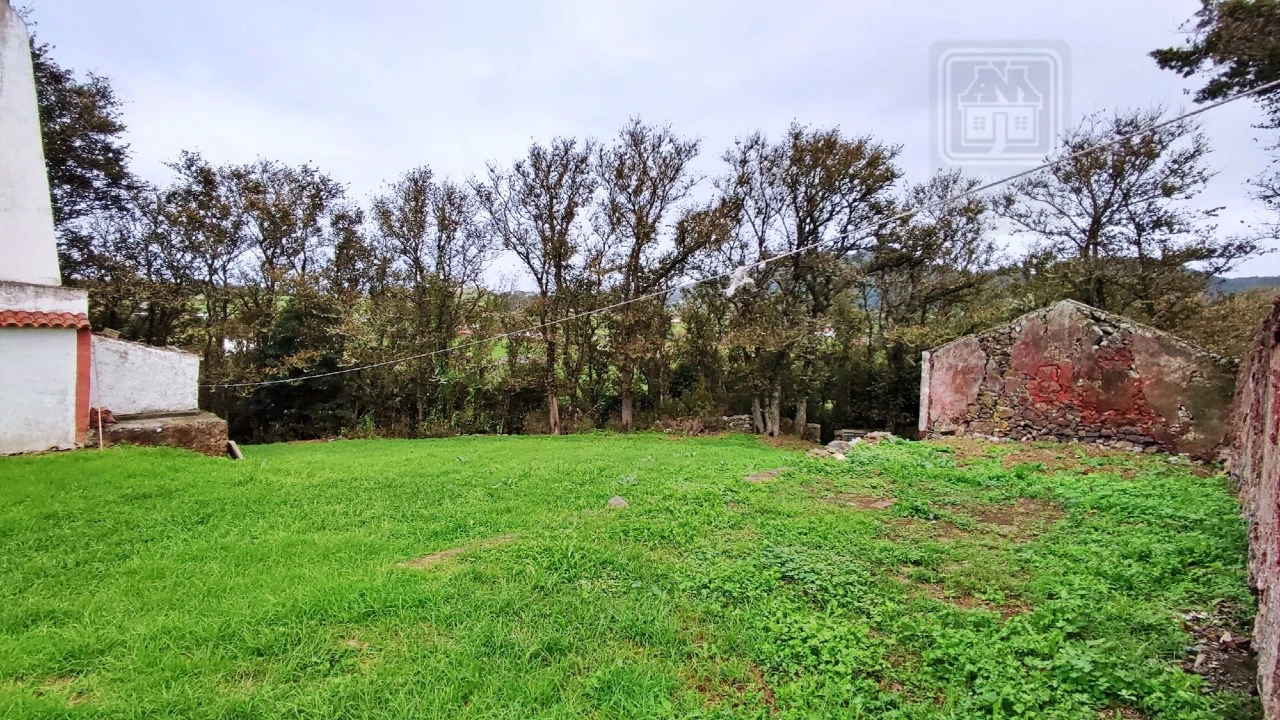 Quinta T20 para Venda em Almagreira Foto 103