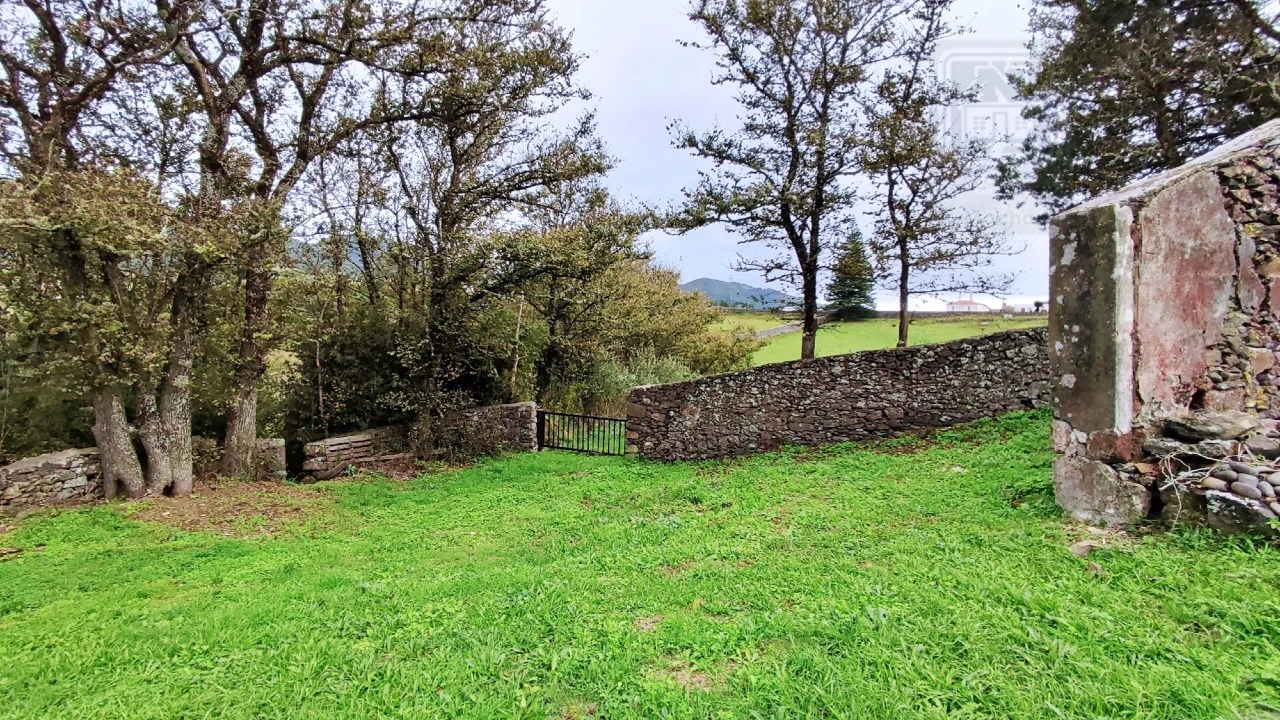 Quinta T20 para Venda em Almagreira Foto 107