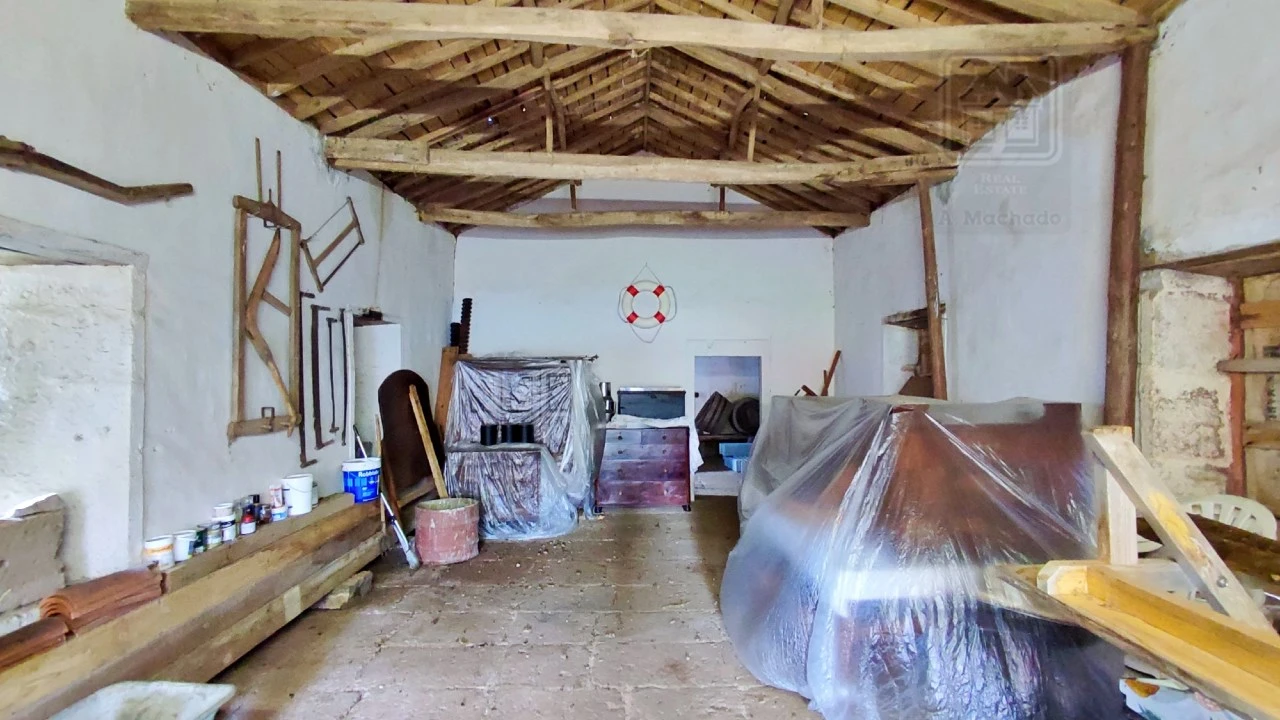 Quinta T20 para Venda em Almagreira Foto 112