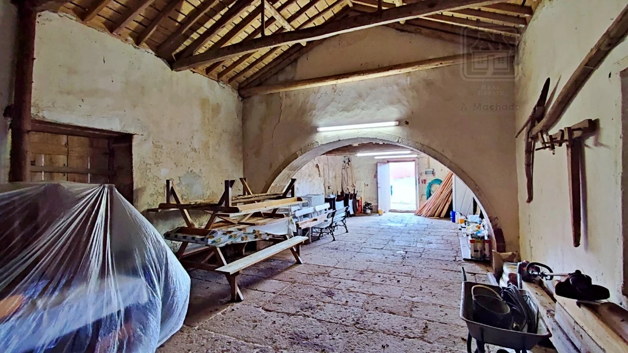 Quinta T20 para Venda em Almagreira Foto 113