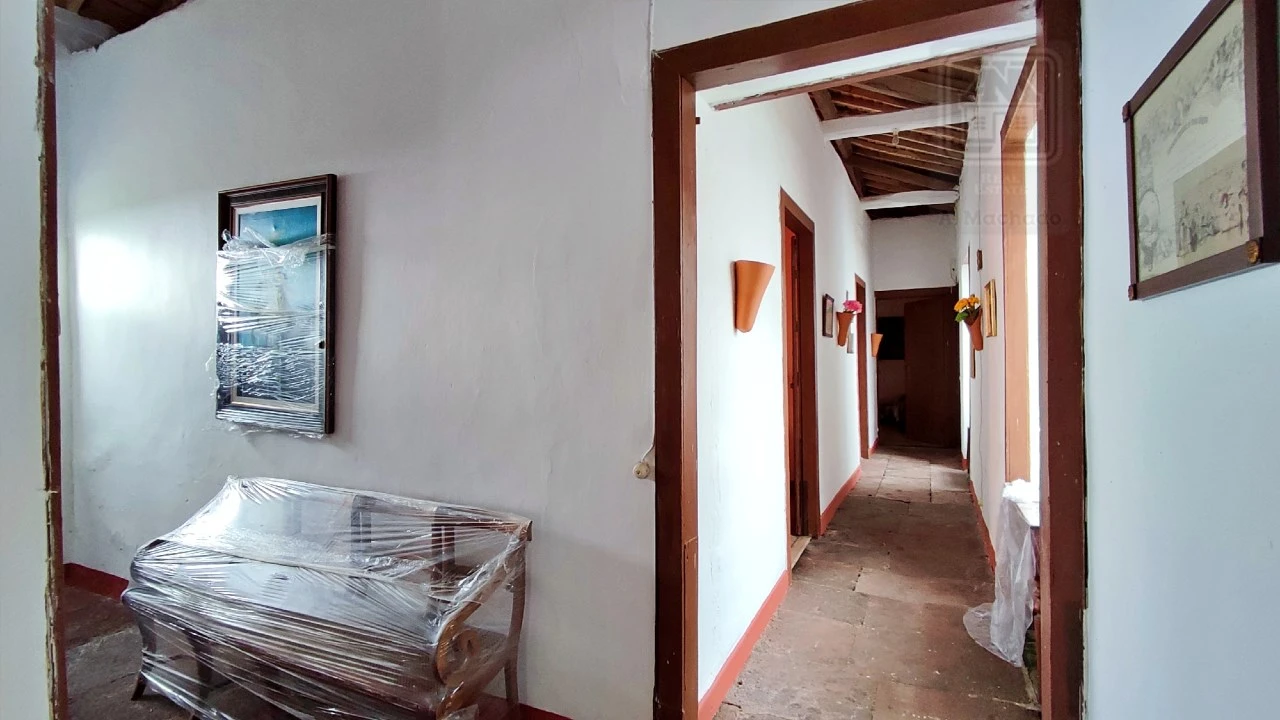 Quinta T20 para Venda em Almagreira Foto 129