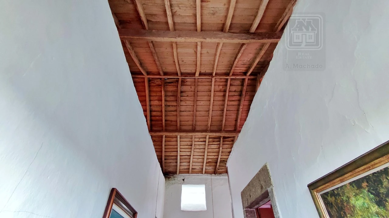 Quinta T20 para Venda em Almagreira Foto 135