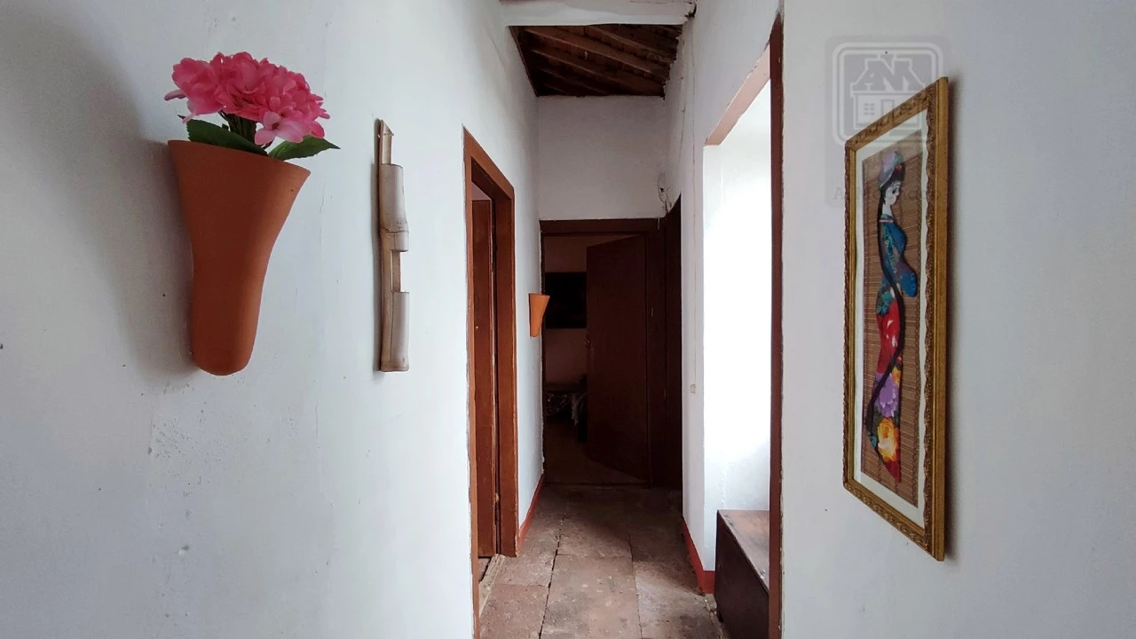 Quinta T20 para Venda em Almagreira Foto 141