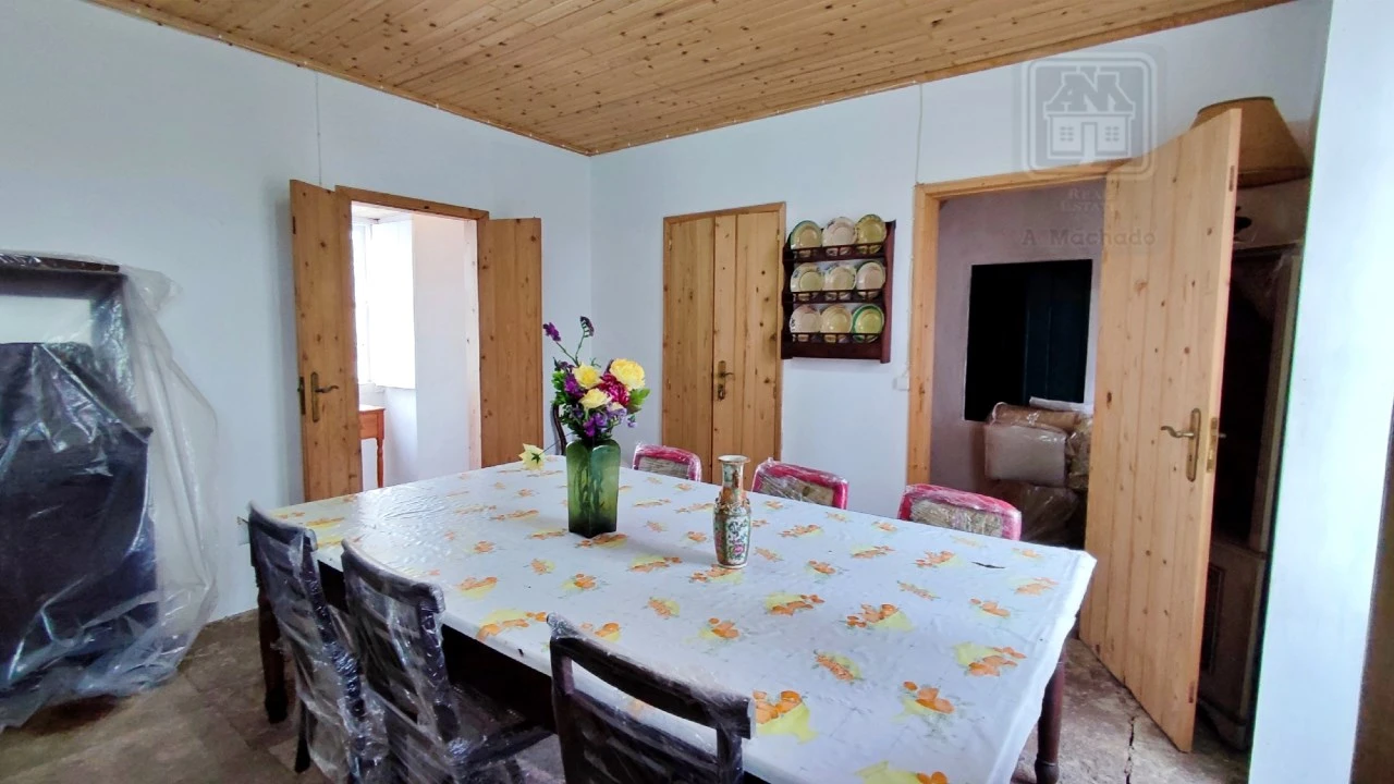 Quinta T20 para Venda em Almagreira Foto 157