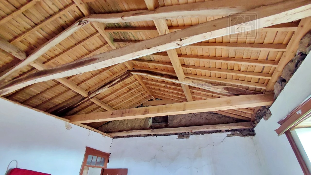 Quinta T20 para Venda em Almagreira Foto 192