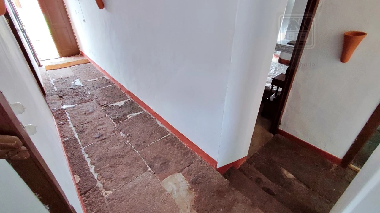 Quinta T20 para Venda em Almagreira Foto 197