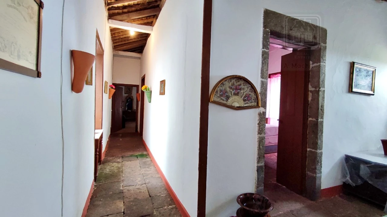 Quinta T20 para Venda em Almagreira Foto 209