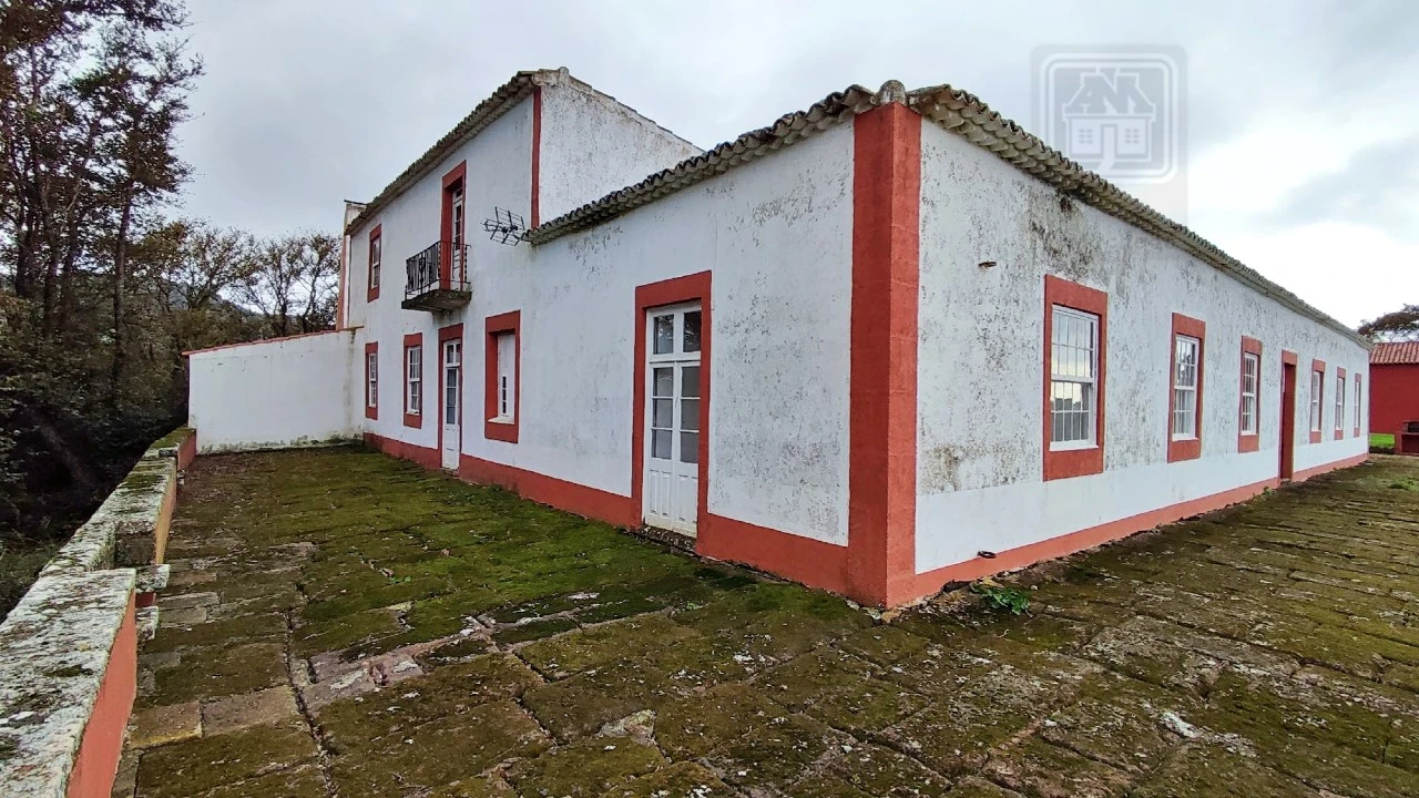 Quinta T20 para Venda em Almagreira Foto 214