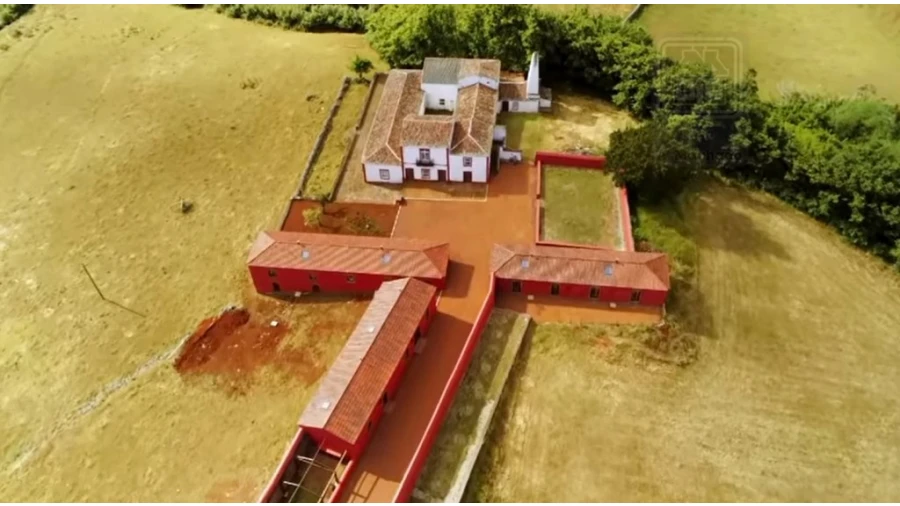 Quinta T20 para Venda em Almagreira Foto 2