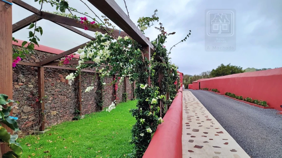 Quinta T20 para Venda em Almagreira Foto 19