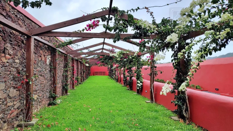 Quinta T20 para Venda em Almagreira Foto 21