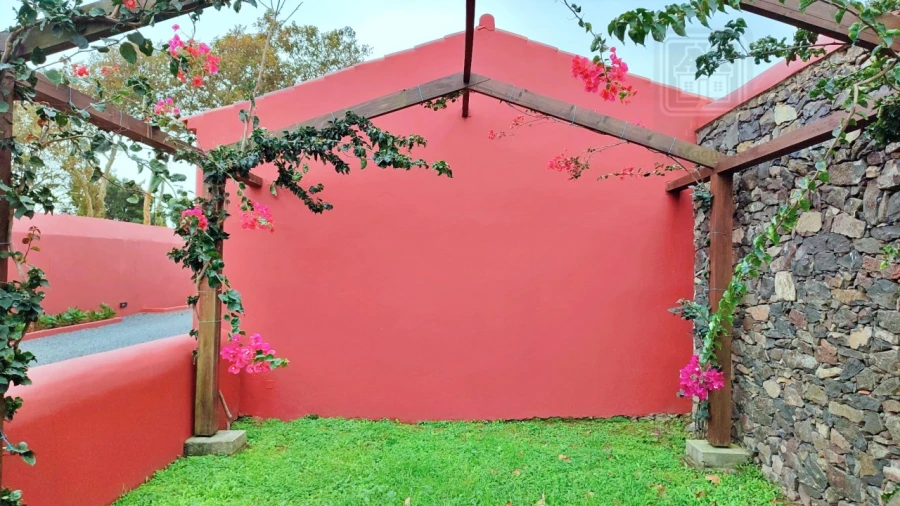 Quinta T20 para Venda em Almagreira Foto 22