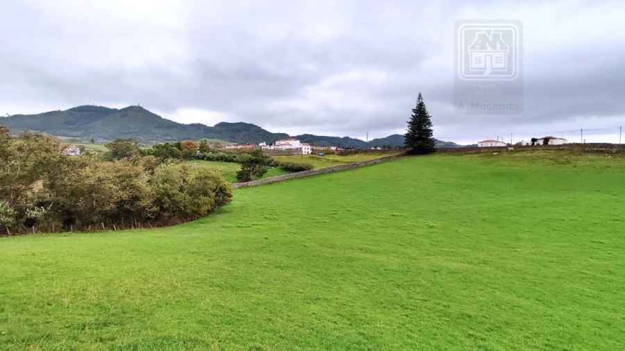 Quinta T20 para Venda em Almagreira Foto 50