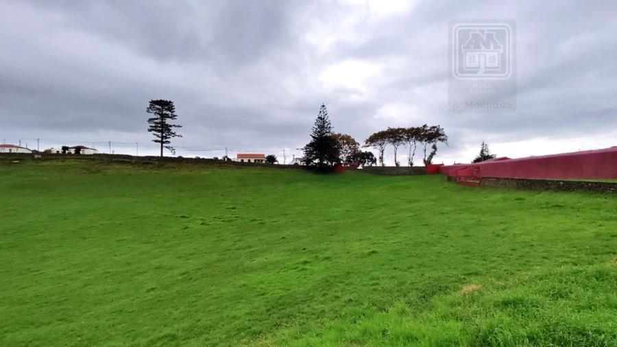 Quinta T20 para Venda em Almagreira Foto 52