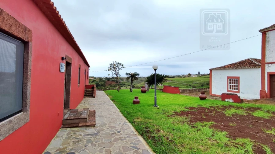 Quinta T20 para Venda em Almagreira Foto 62