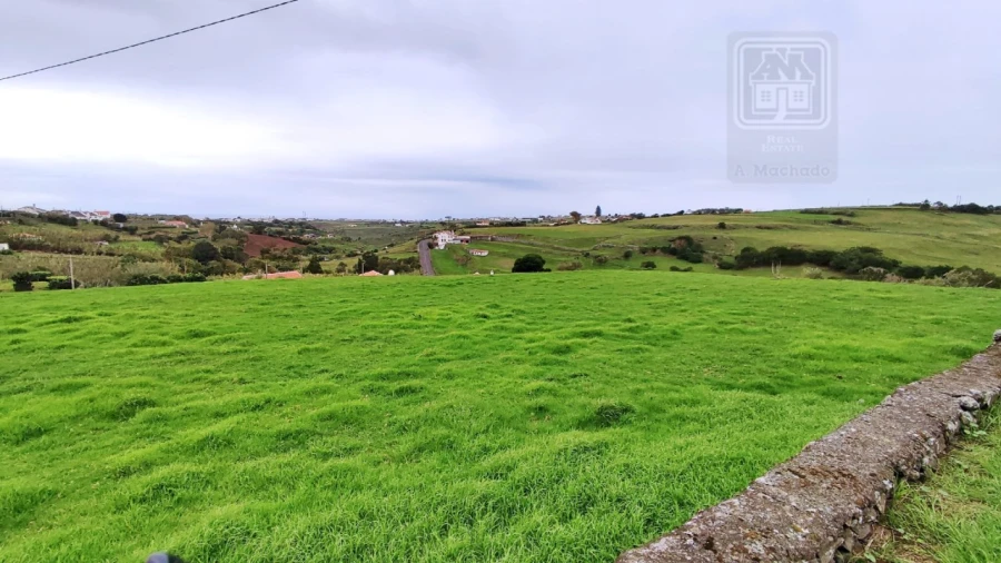 Quinta T20 para Venda em Almagreira Foto 72