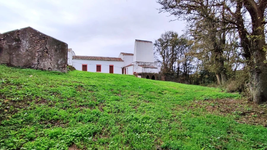 Quinta T20 para Venda em Almagreira Foto 106