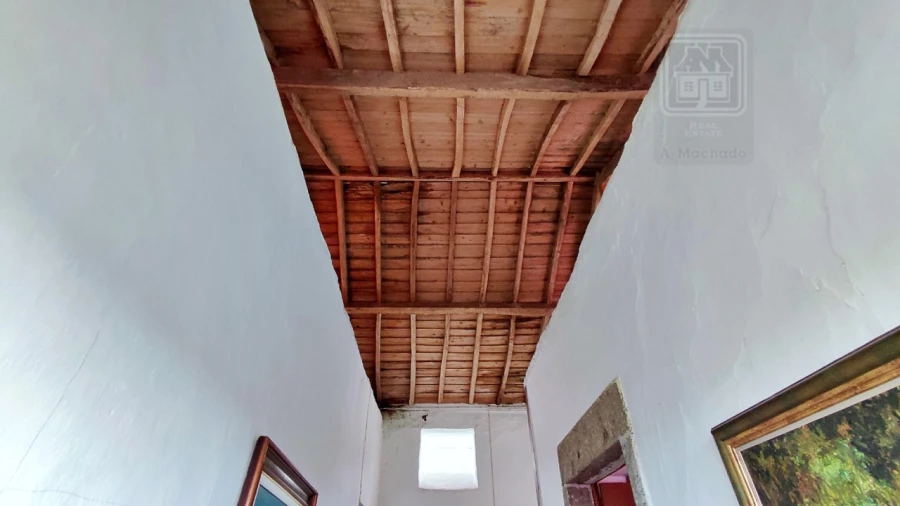 Quinta T20 para Venda em Almagreira Foto 135