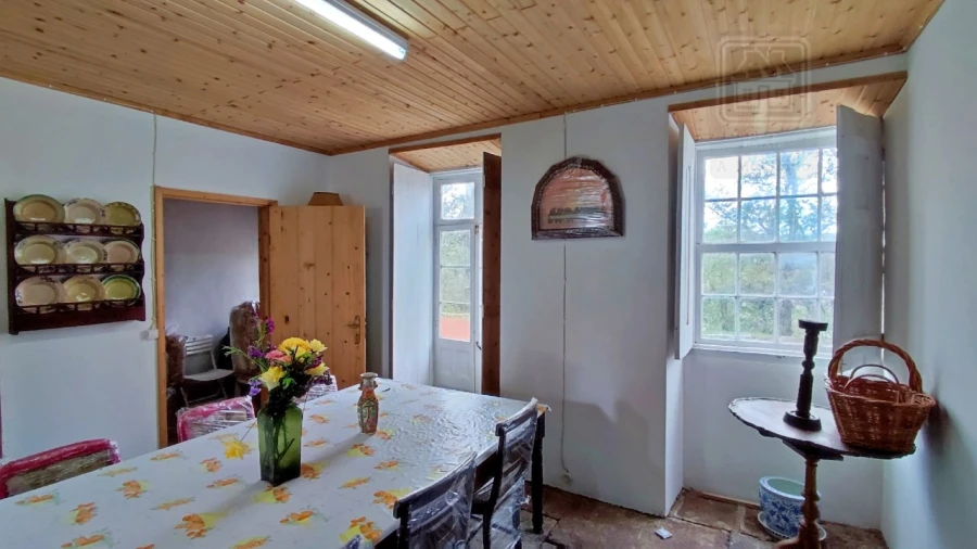 Quinta T20 para Venda em Almagreira Foto 156